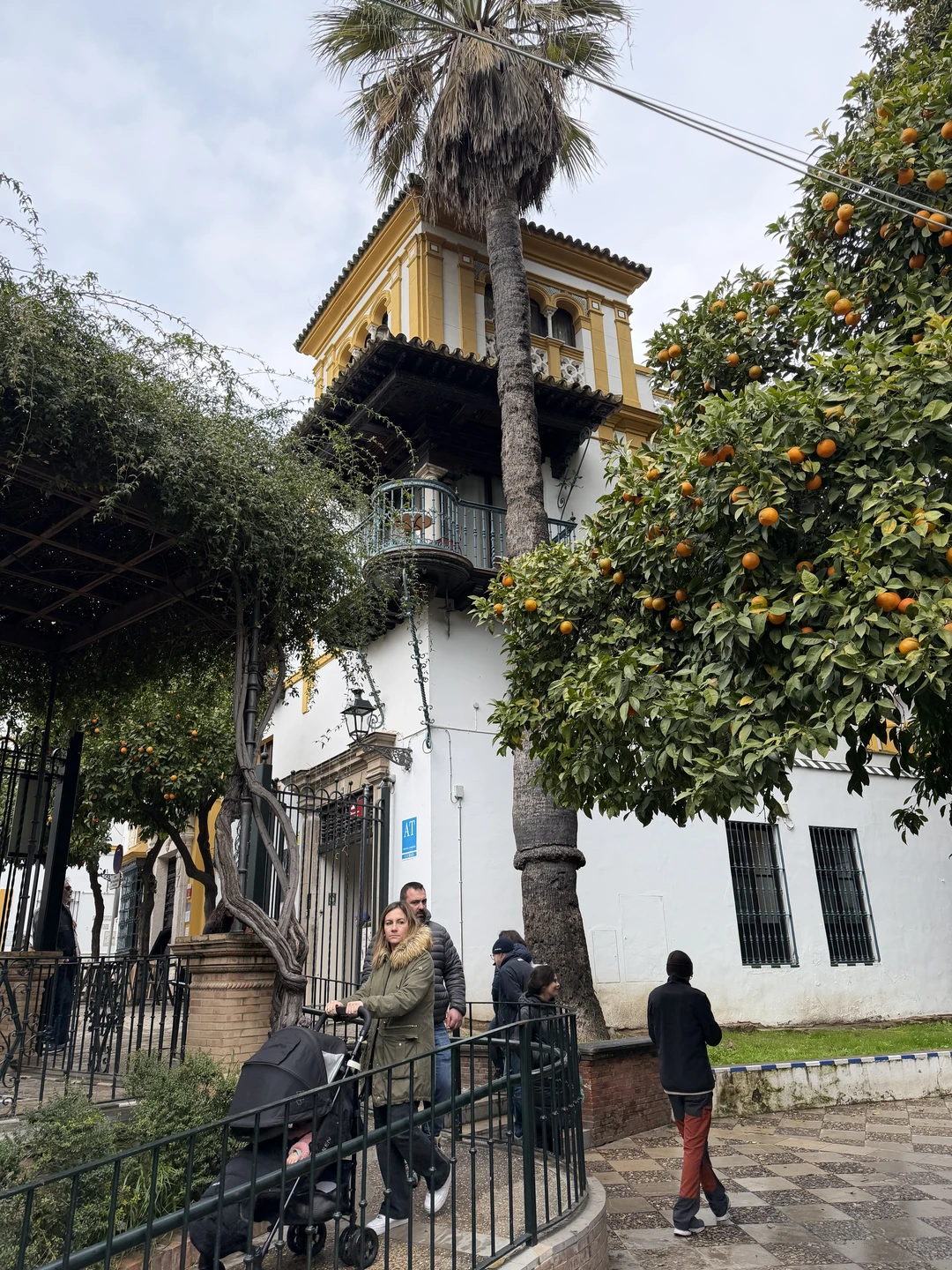 Роскошный город! Классный гид! Но лучше встретиться с гидом в первый, максимум второй день приезда. Елена