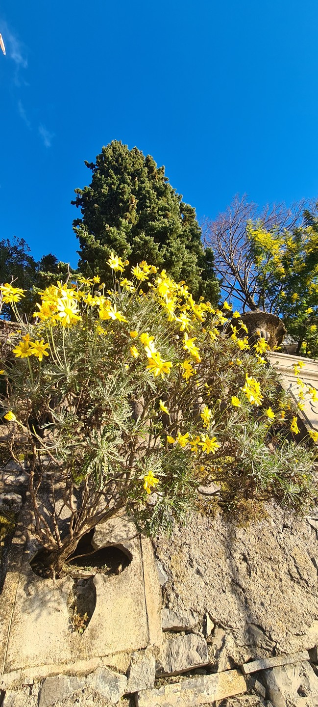 Озеро Комо, или «Там, где красиво на 360 градусов!» (Евгения)