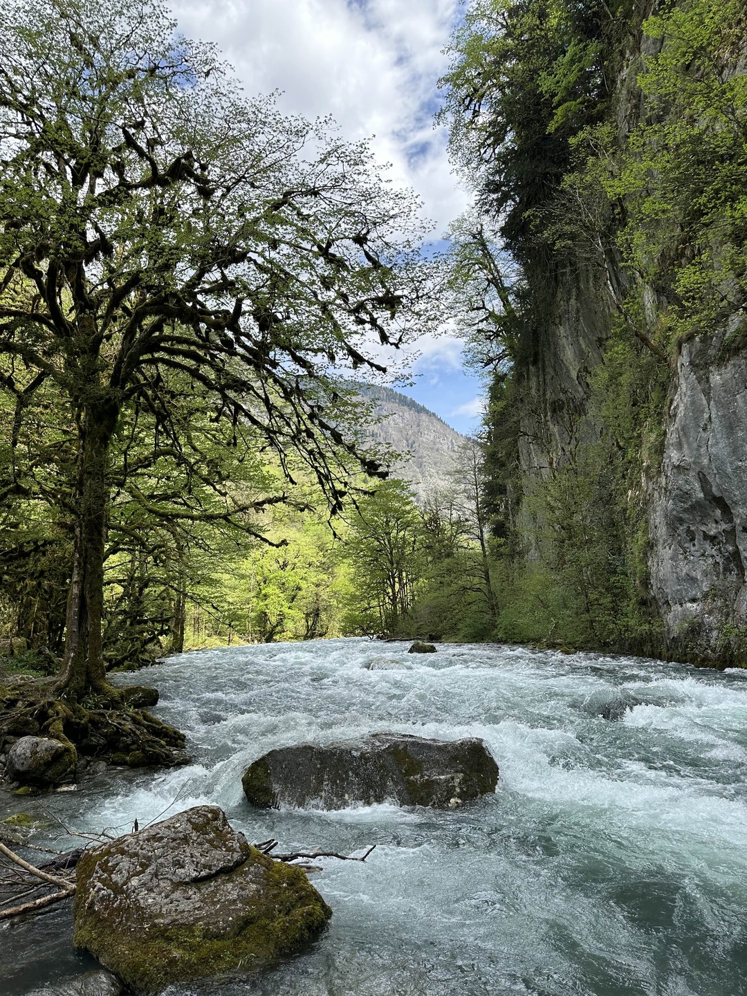 С уверенностью могу порекомендовать данную экскурсию! Очень интересный и четко продуманный маршрут: за пол дня мы