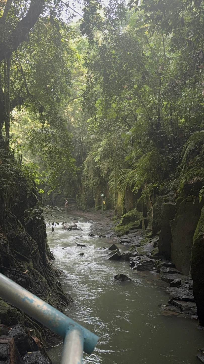По нашей просьбе заменили храм Мангенинг на рисовые террасы. День пролетел быстро и очень интересно. Посетили
