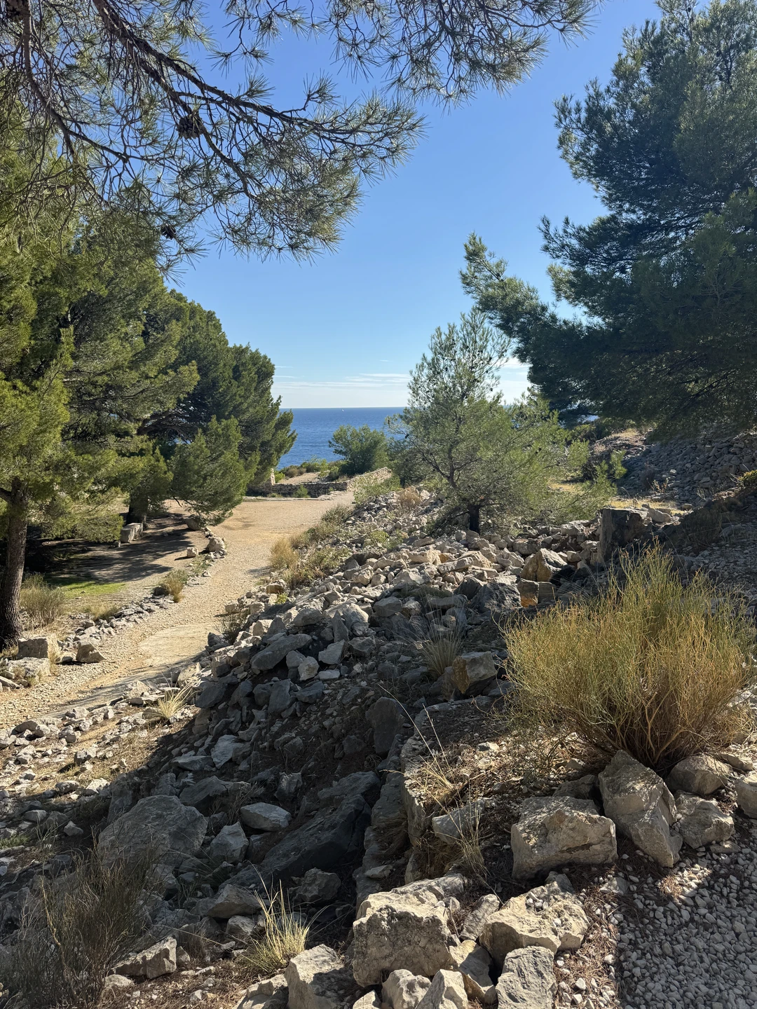 Очень красивая экскурсия в сказку красоты морской природы Прованса