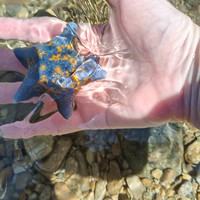 Фото отзыва 3: экскурсия ""