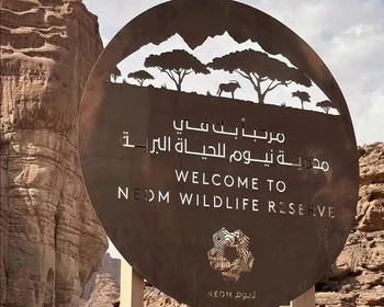 Проект Neom и отдых в Табуке