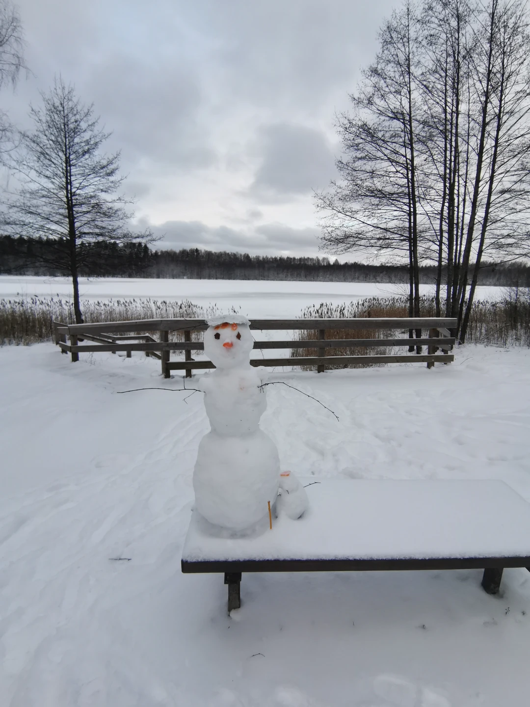 Групповая экскурсия к замку Шереметева и озеру Светлояр (Эллина)