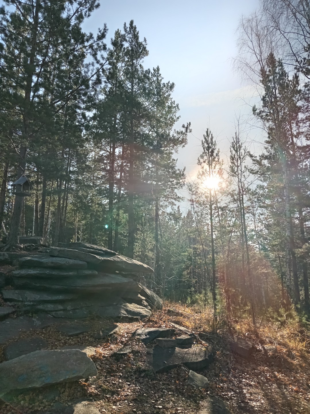 Очень понравилась экскурсия! Елена очень увлекательно рассказывала, была внимательна к каждому участнику группы, прогулка получилась очень