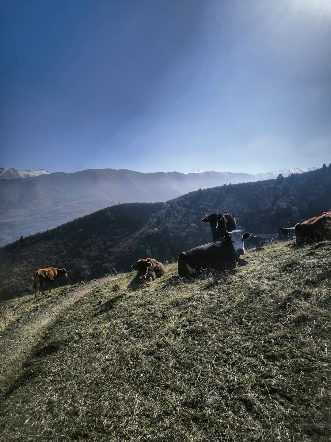Парк Ала-Арча и горные ущелья за 1 день (Эльвира)