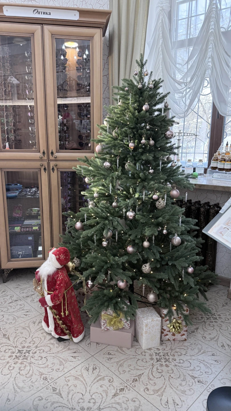 Очень замечательная прогулка у нас получилась, даже несмотря на почти 20-градусный мороз! Евгения очень интересно рассказала