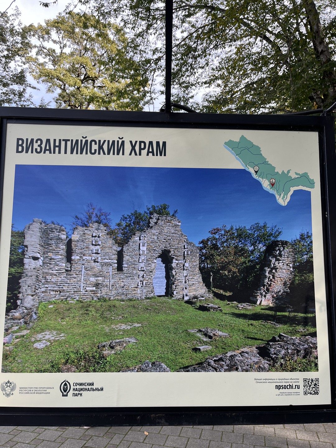 Чайные плантации, водопады, термы: знакомство с природными достопримечательностями Сочи (Ольга)