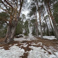 Фото отзыва 1: экскурсия "Село Великорецкое — духовный центр Вятской земли (из Кирова на авто)"