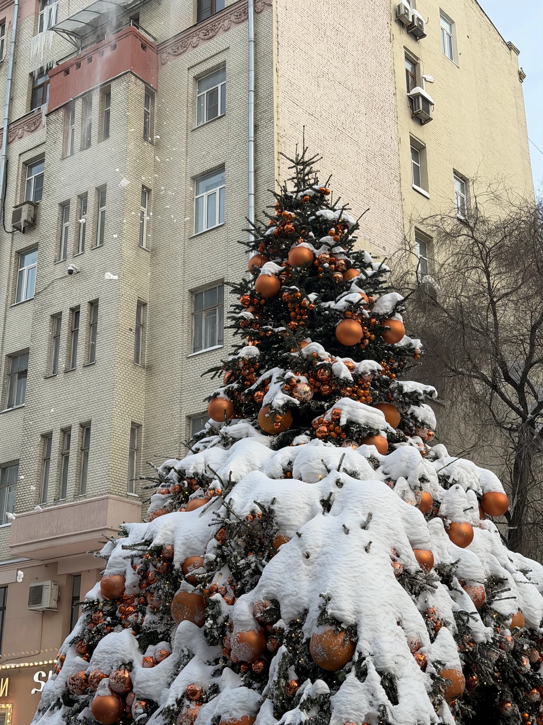 Экскурсия по Красному маршруту (Смоленская-Арбат-Гоголевский бульвар-Храм Христа Спасителя) очень понравилась. Интересные и редкие факты, очень живо