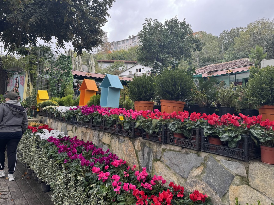 Благодарим Елену за чудесную прогулку-поездку по Стамбулу!