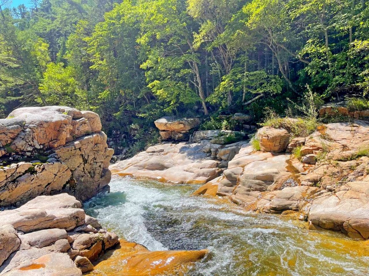 День в тайге: каньоны и пороги Милоградовки (4/8)