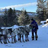Фото отзыва 8: экскурсия "Каникулы в Хибинах + этническая деревня саами"