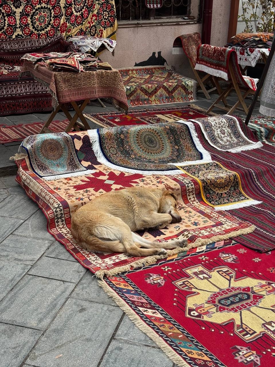 Лучшие панорамы Тбилиси (Иван)