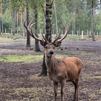Фото путешественника — 2