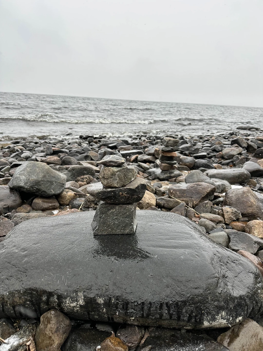 Чудесная экскурсия! Красивая природа и удивительный живой лес!!! Рекомендую 👌