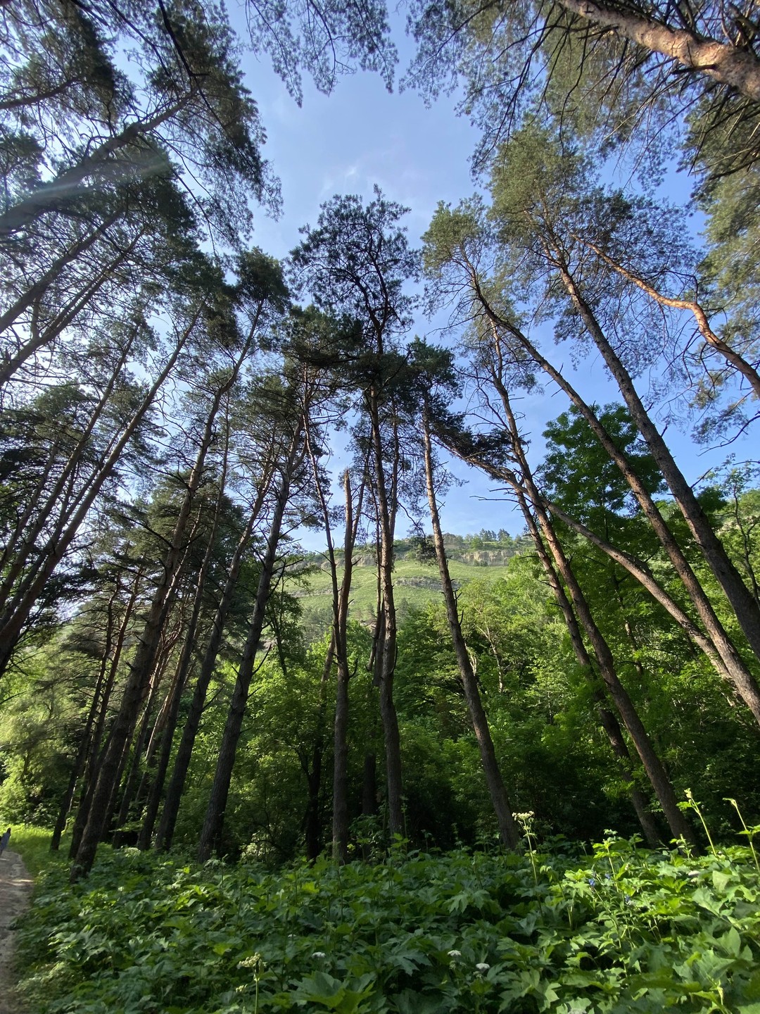 Неизведанные уголки Кисловодского парка (Любовь)