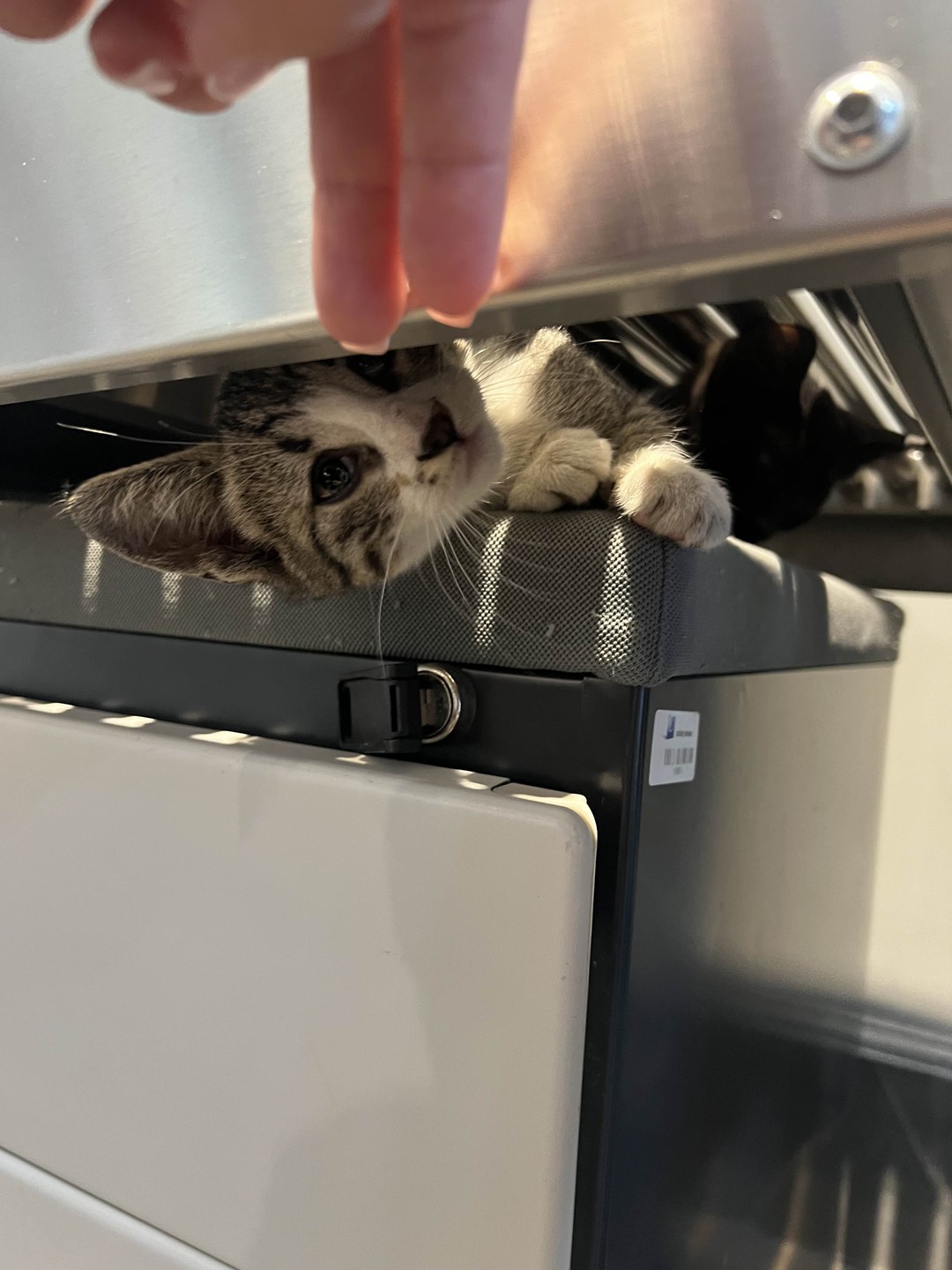 Неизвестный Стамбул (Сергей)