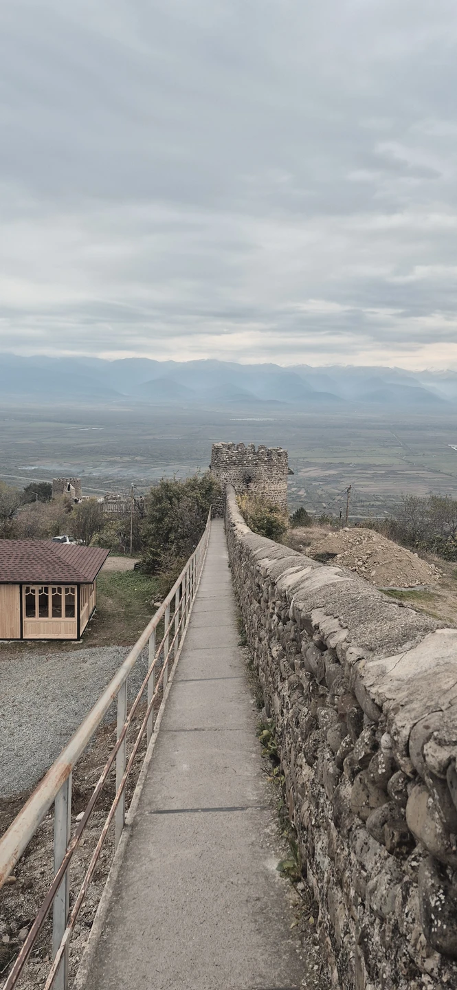 Велисцихе: история кахетинского виноделия (Ольга)