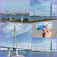 Фото отзыва 6: экскурсия "Остров Русский и Приморский океанариум — на автобусе из Владивостока"