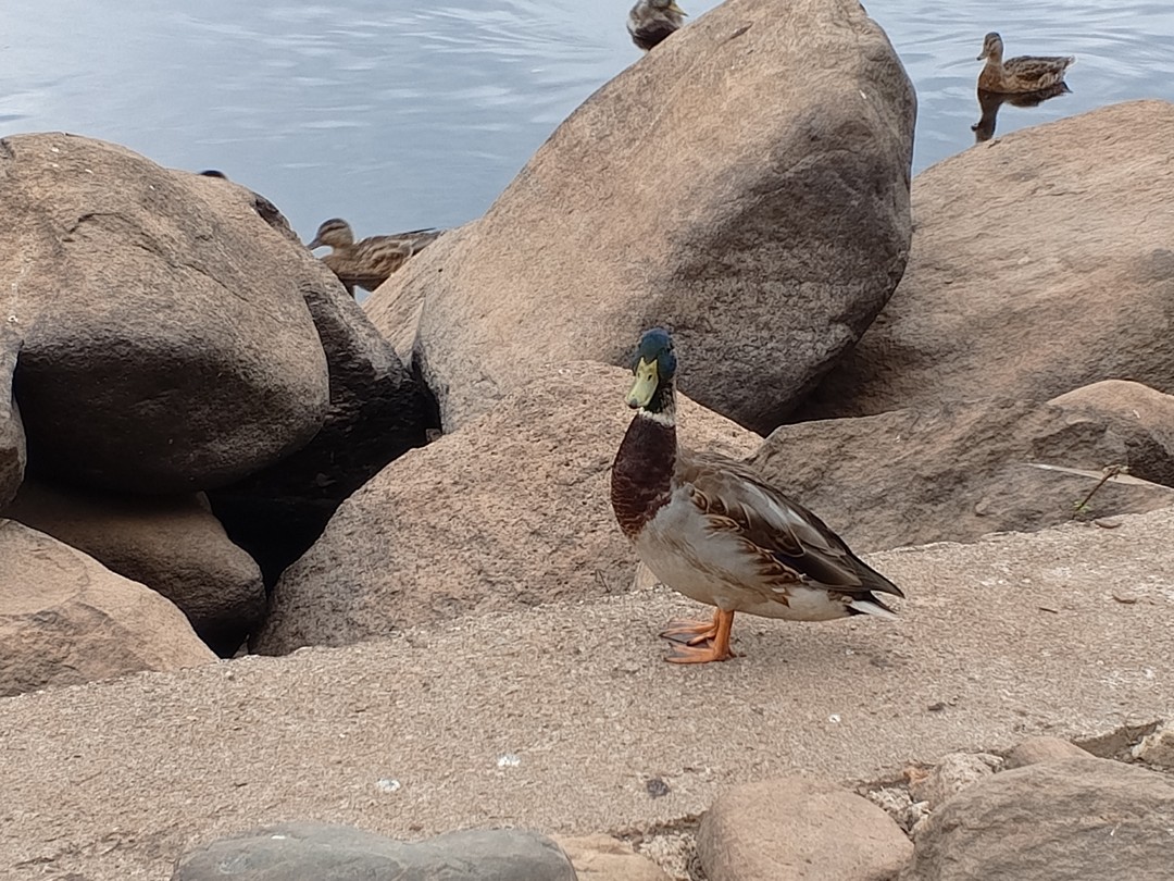 Старая Русса прекрасна!!! Огромное спасибо за организацию такой экскурсии. Экскурсоводы на всех этапах экскурсии настоящие профессионалы