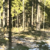 Фото отзыва 1: экскурсия ""