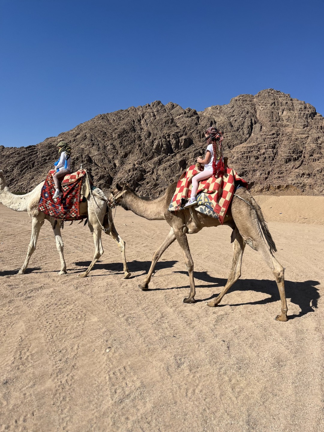 Наше путешествие началось с контакта с Наташей. Подробно спросив в каком составе мы собираемся на экскурсию-