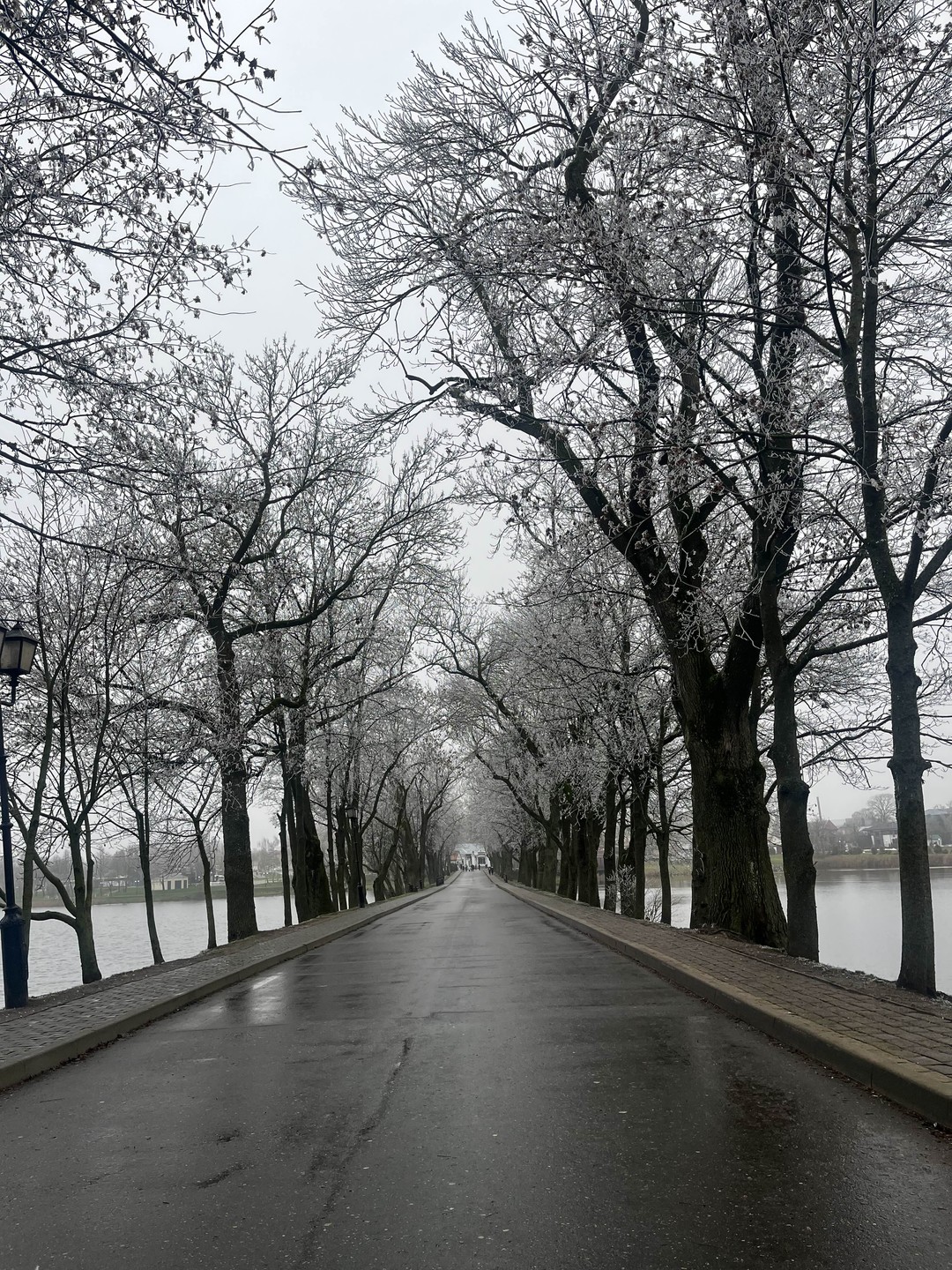 Прилетели в Минск буквально на несколько дней и захотели увидеть что-то кроме города, чтобы впечатления были