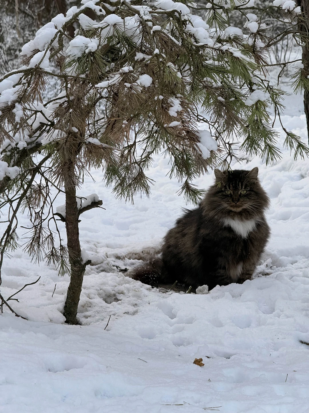 Огромная благодарность Александре за такой чудесный, интересный и насыщенный день 👍