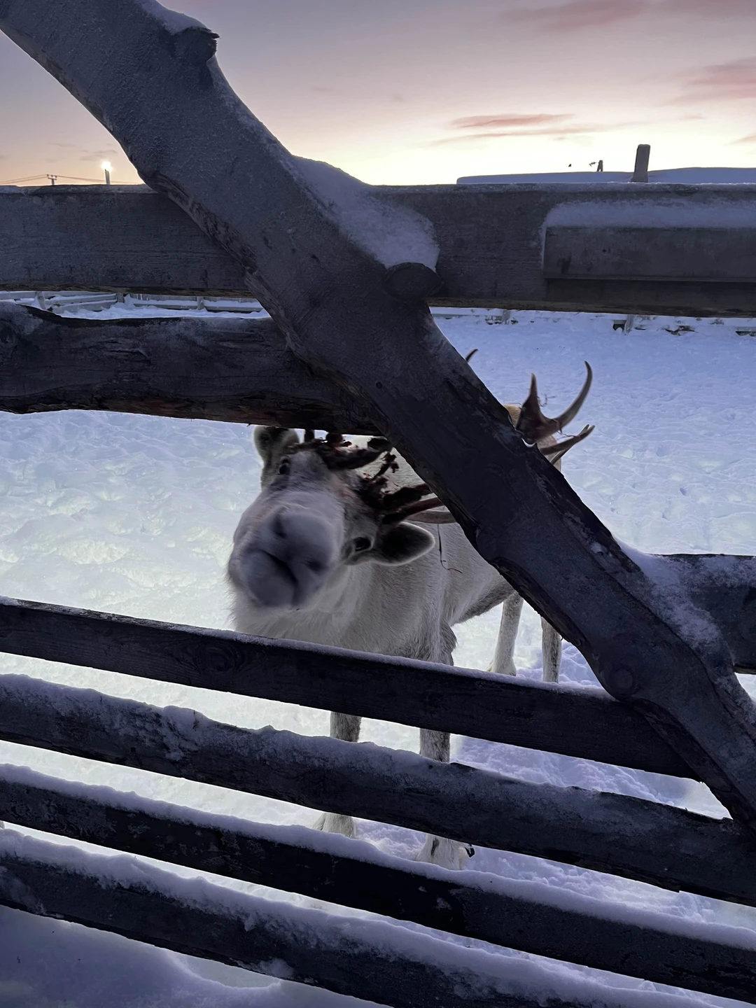 Замечательная поездка выдалась с гидом Михаилом, по пути на экскурсию обеспечил вкусным питанием и согревающими напитками