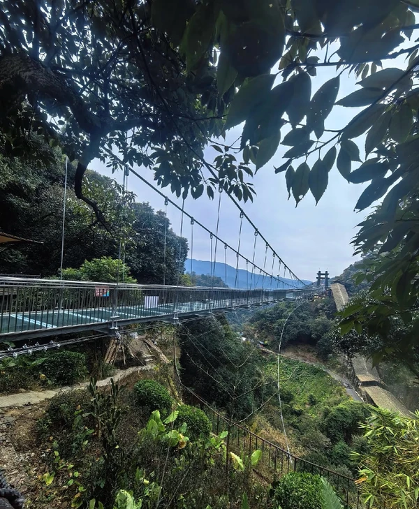 Из Гуанчжоу в каньон Гулун: водопады и стеклянный мост за 1 день