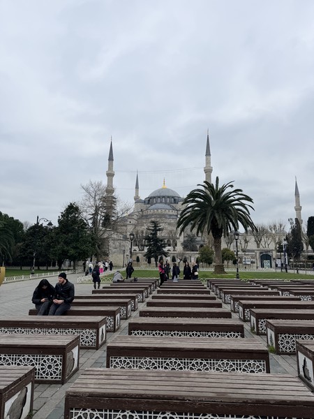 Прекрасный гид, тактичный, с чувством юмора. Интересно рассказывает