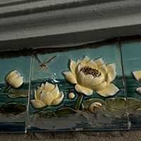reviews img