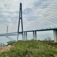 Фото отзыва 1: экскурсия "Лучшее на Русском острове: охватить самое важное за 1 день"