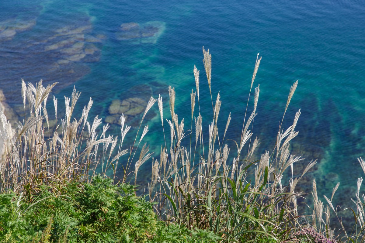 Владивосток и остров Русский: прогулка с фотографом (18/26)