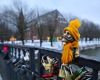 Знакомство с Кёнигсбергом