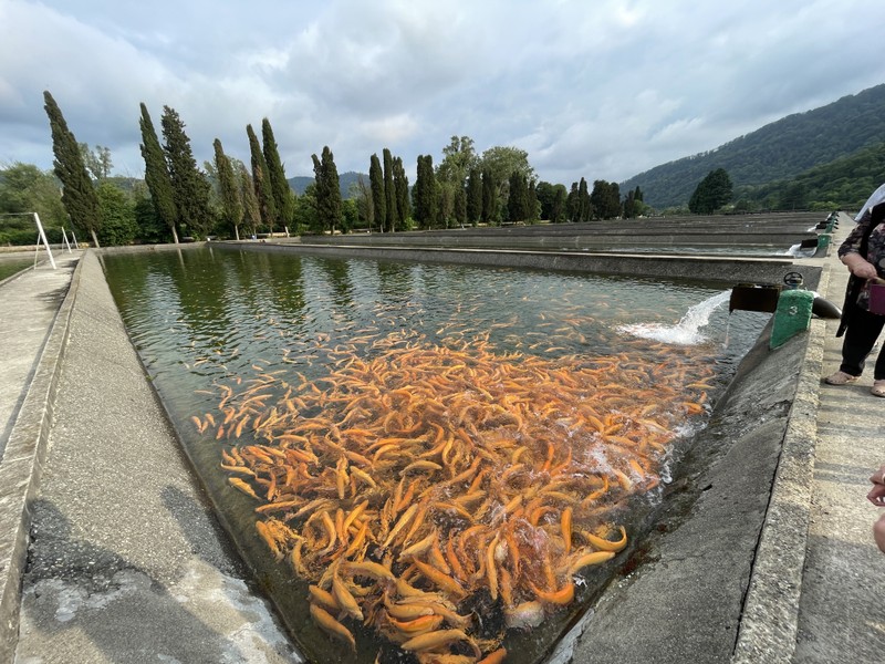 Виды Гастротур на внедорожнике-пикапе