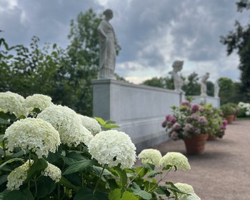 Фонтаны, Большой дворец, парк Александрия, Коттедж