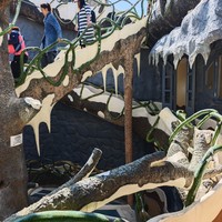 Фото отзыва 6: экскурсия ""