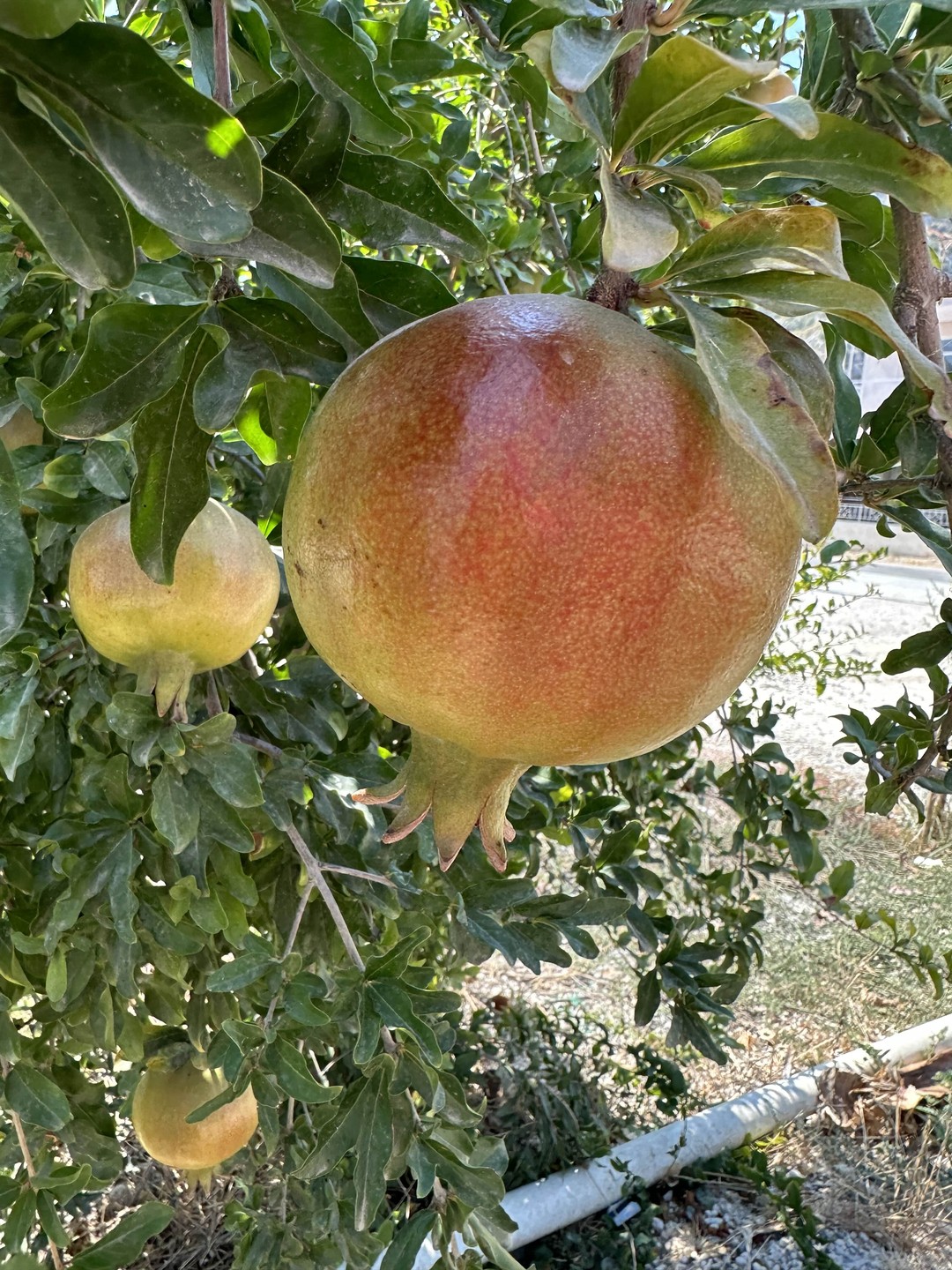 Лиана умница! Очень хороший гид, интересно рассказывает, много познавательной информации, необычных фактов. Экскурсия прошла на одном