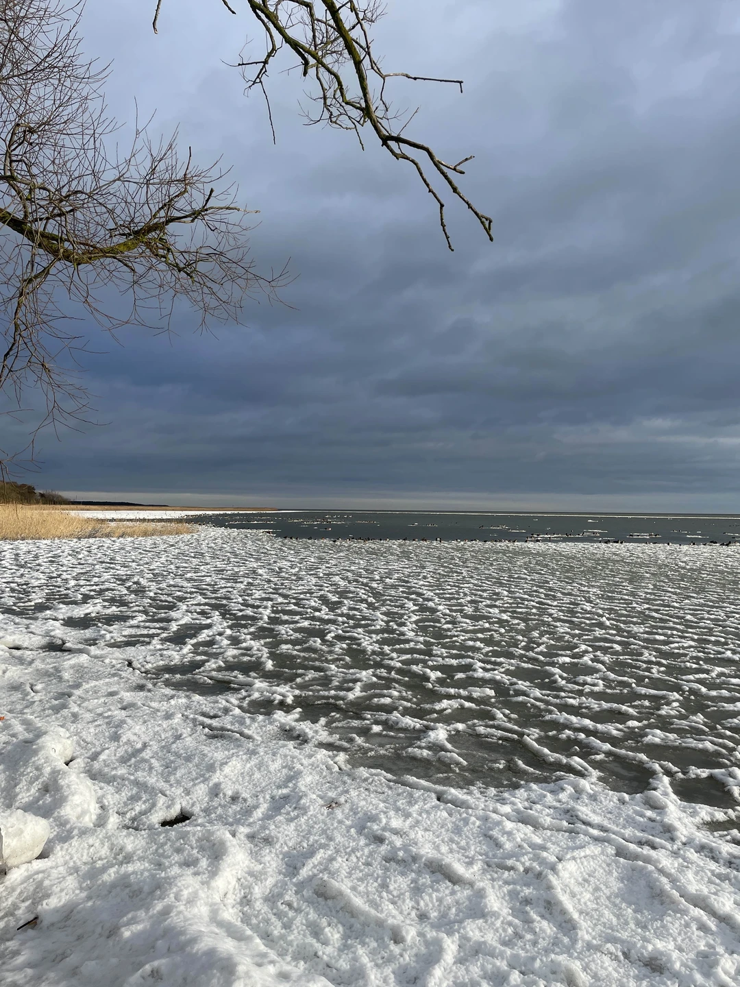 Хотим выразить благодарность за работу 2 января. Когда все ели салаты, мы ехали на Курскую косу с Федором!