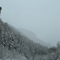 Фото отзыва 2: экскурсия "Из Ессентуков — в великолепный Домбай!"