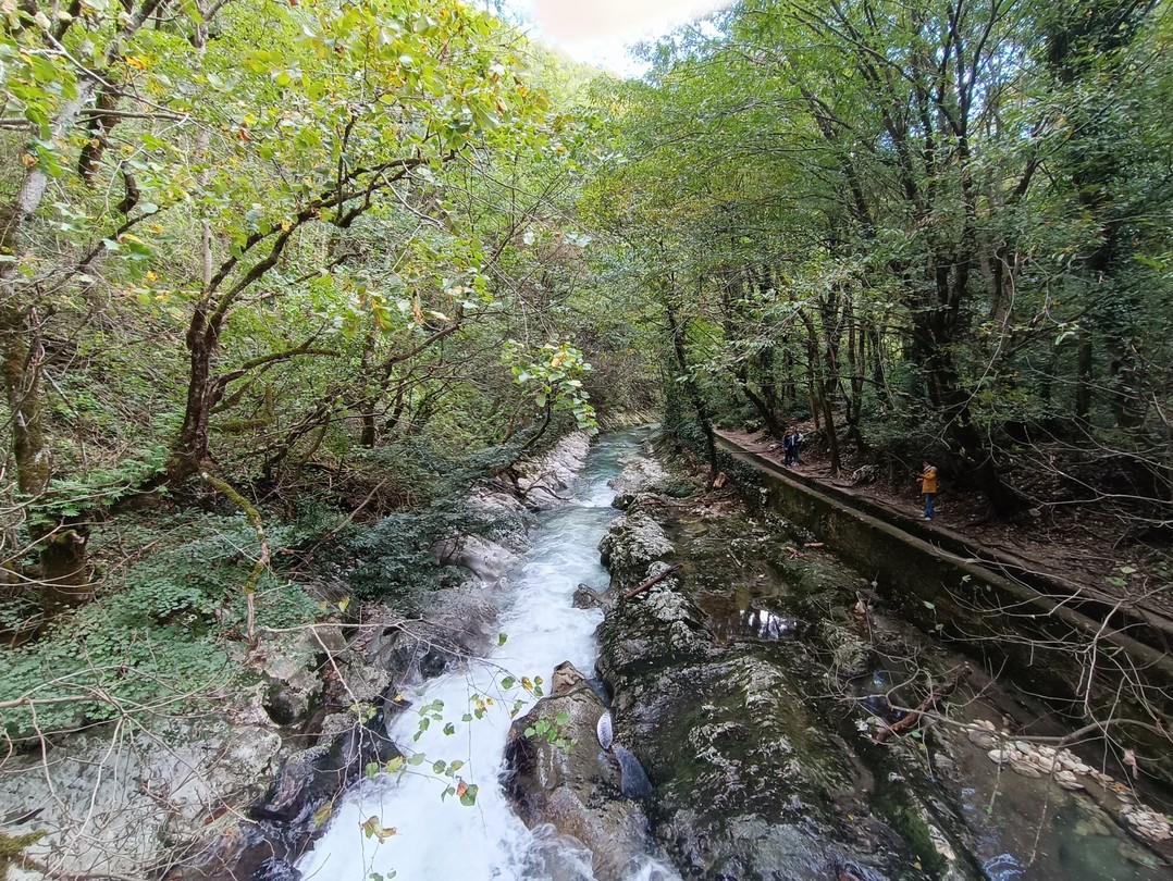 Очень повезло с выбором экскурсии! Наш водитель и гид Гамлет оказался очень эрудированным, приятным и внимательным