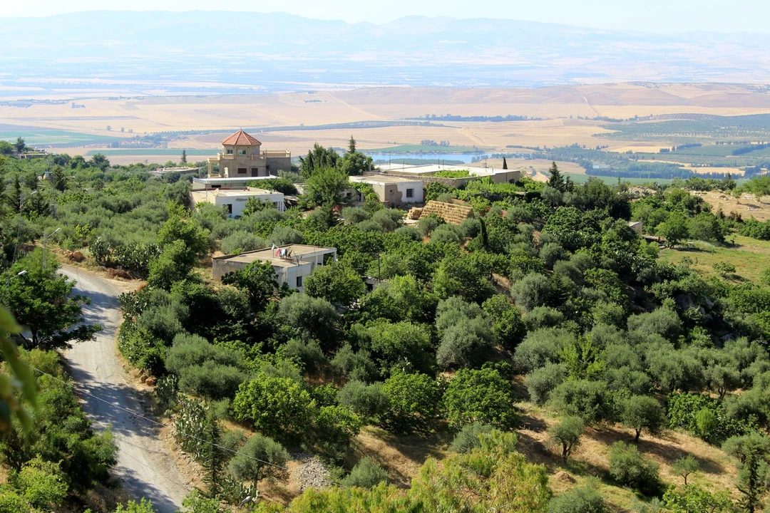 страна тунис