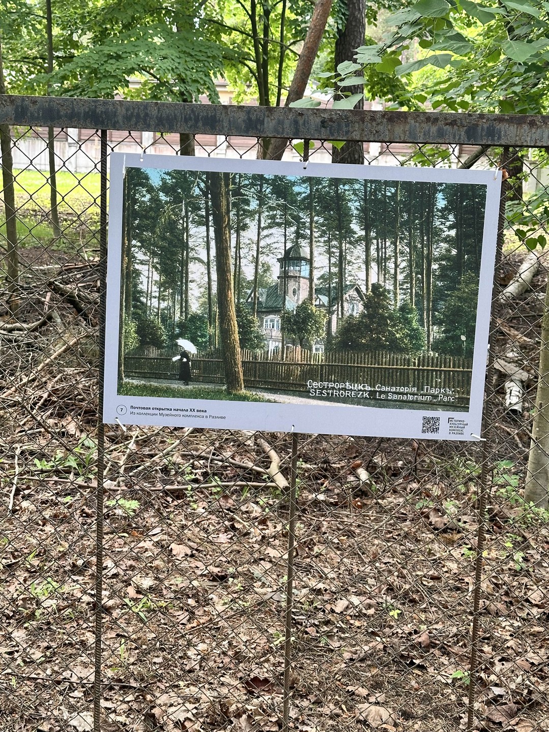 Уютный дачный Сестрорецк (Ира)