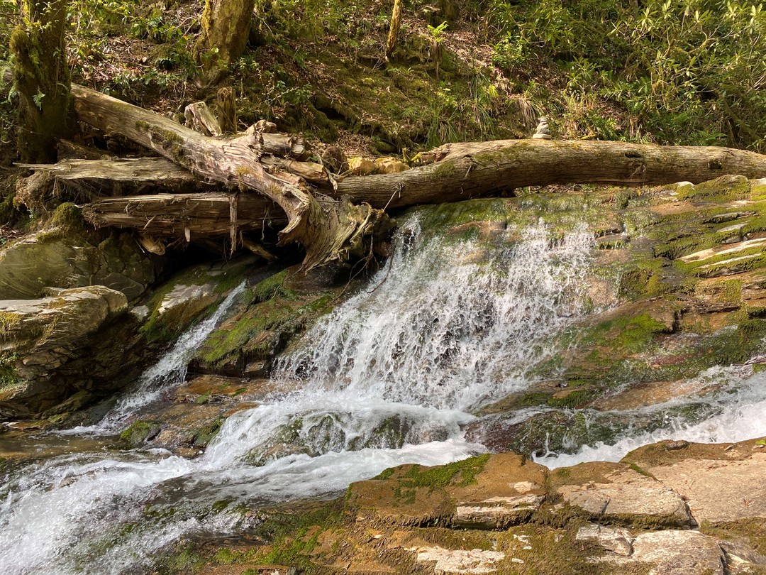 Огромное спасибо Александру на прекрасный день!