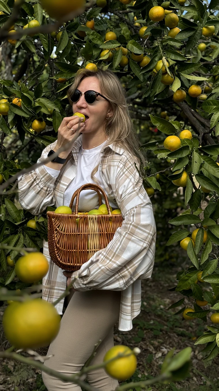 Охотники за мандаринами (18/19)