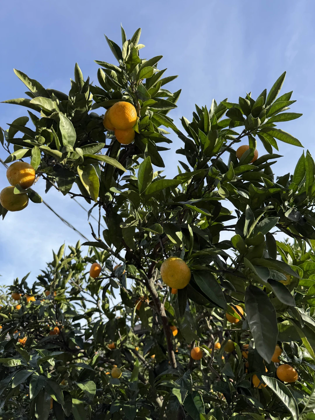 Спасибо Вячеславу за экскурсию!