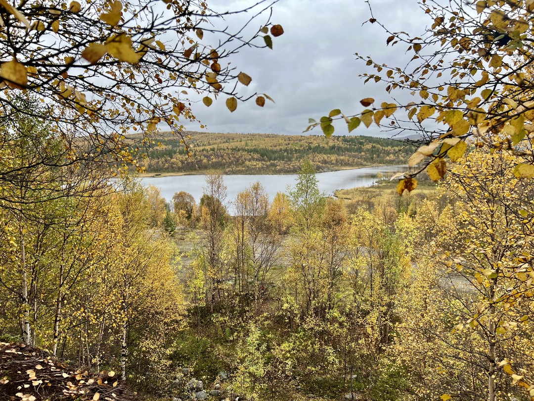 Активная прогулка в полярный день на сопку Мишукова (Мария)