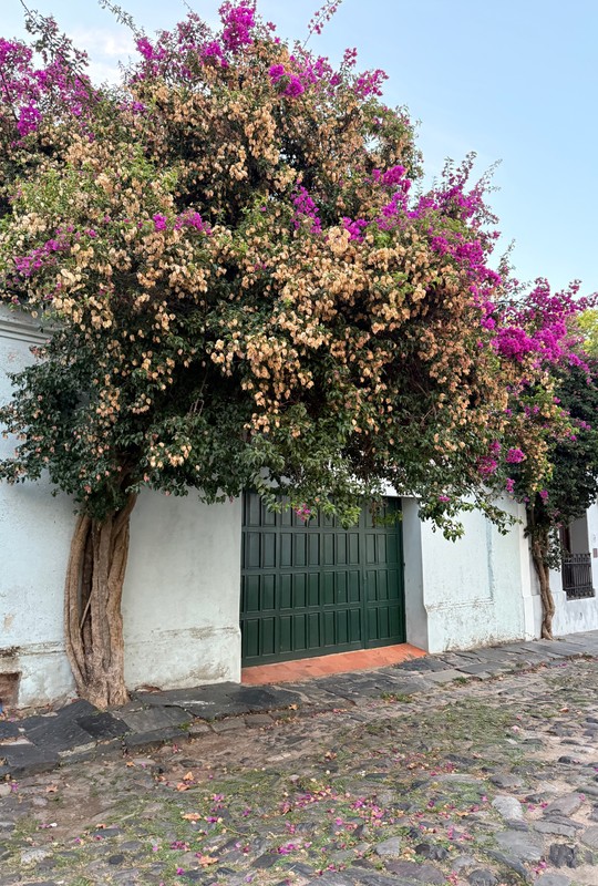 Колония-дель-Сакраменто: по следам португальцев и испанцев